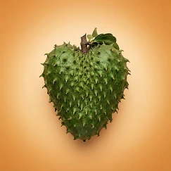 SHIELD