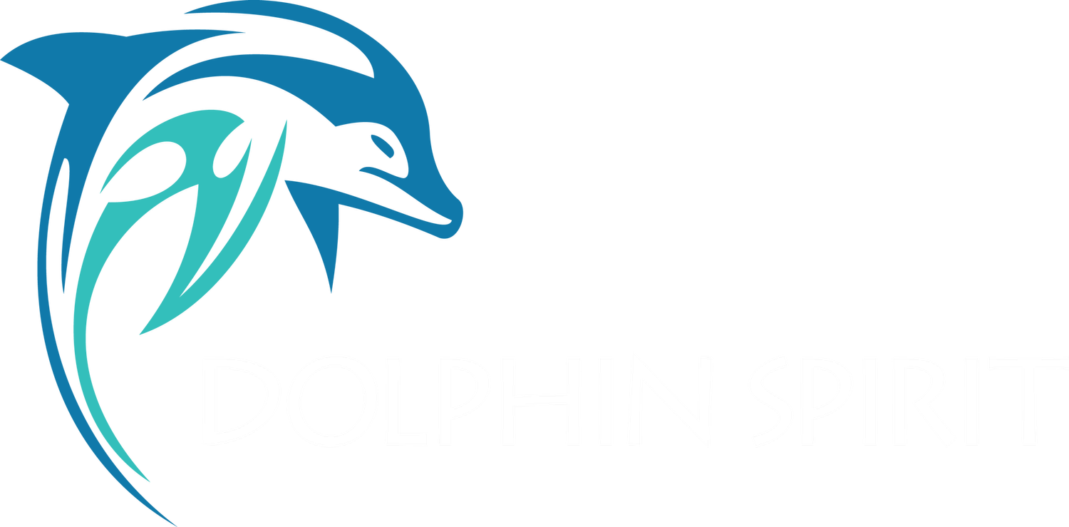 Dolphin Spirit logo