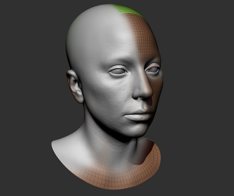 Hyper-realistic digital sculpt of a human bust