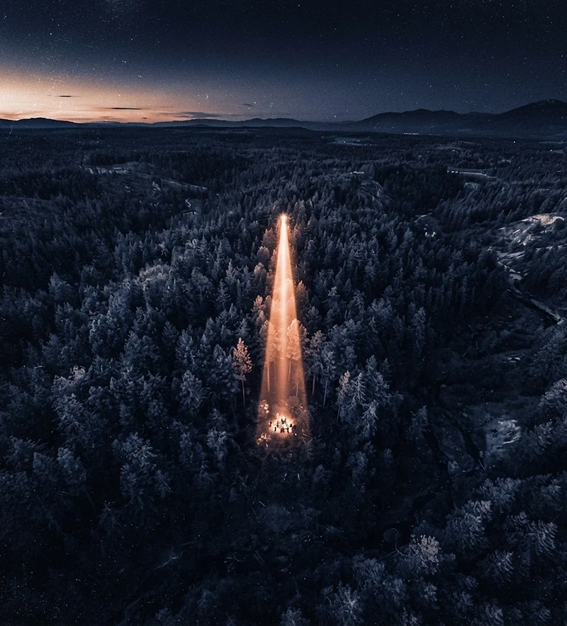 Thermal aerial forest recon