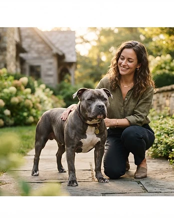 The Complete American Bully Breed Guide: Everything to Know