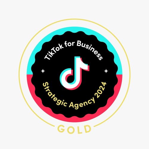 TikTok Marketing Partner