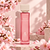 مس ساكورا – MISS SAKURA | ASSAF