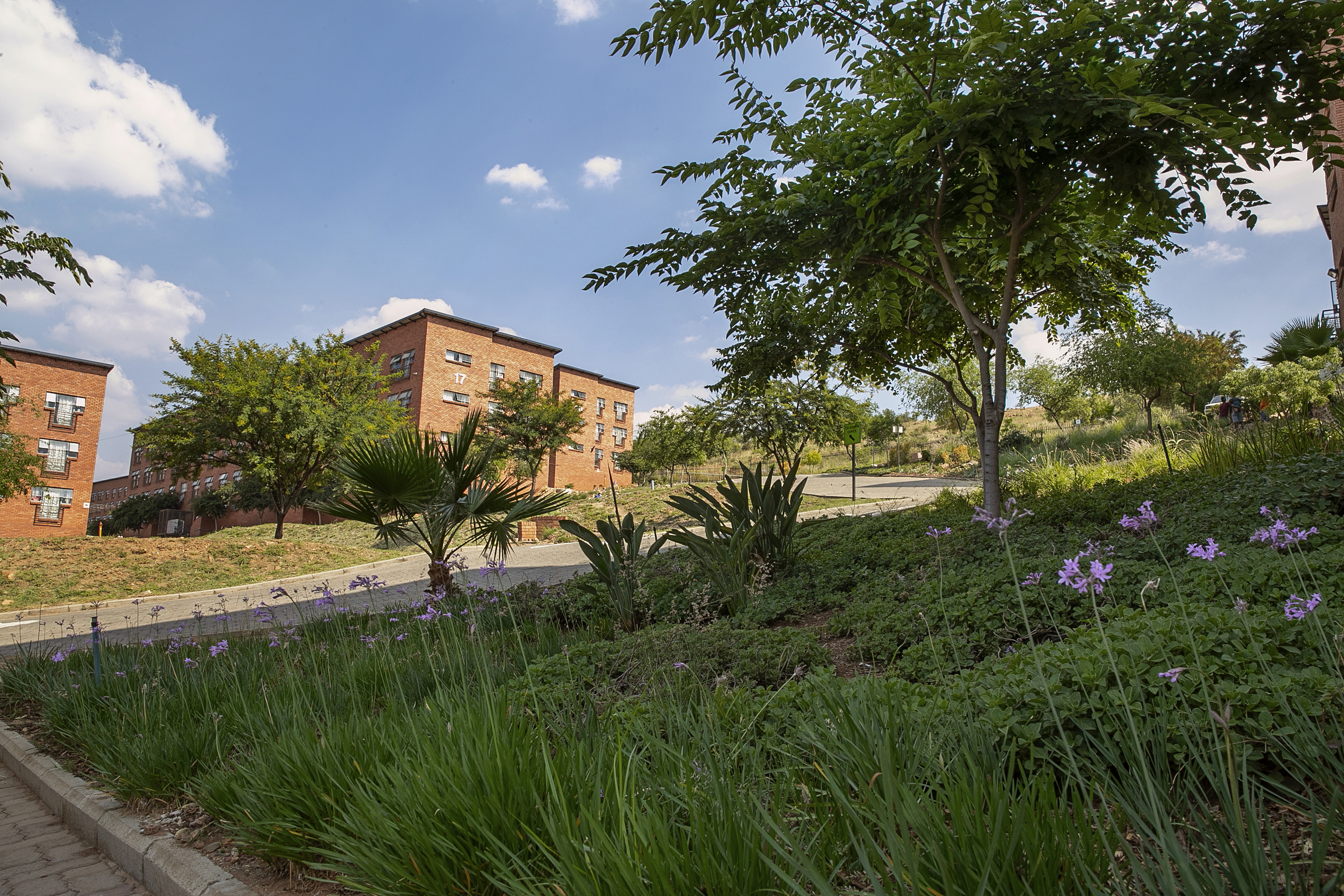 Ekhaya Junction gallery image 2