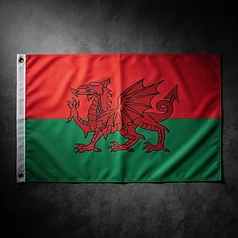 Custom Wales inspired red and green football flag