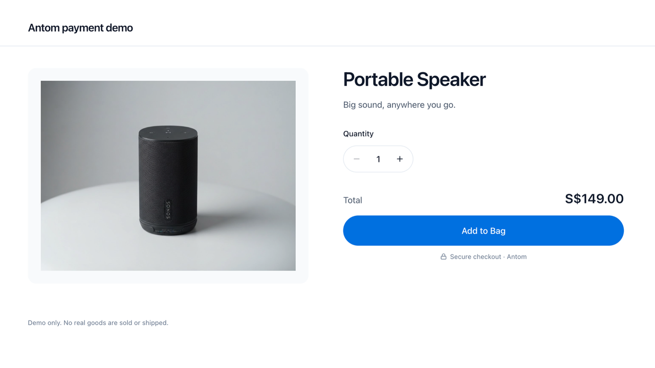 Antom One-time Checkout template preview
