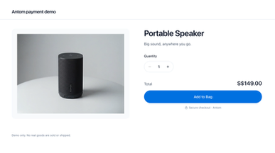 Antom One-time Checkout template preview