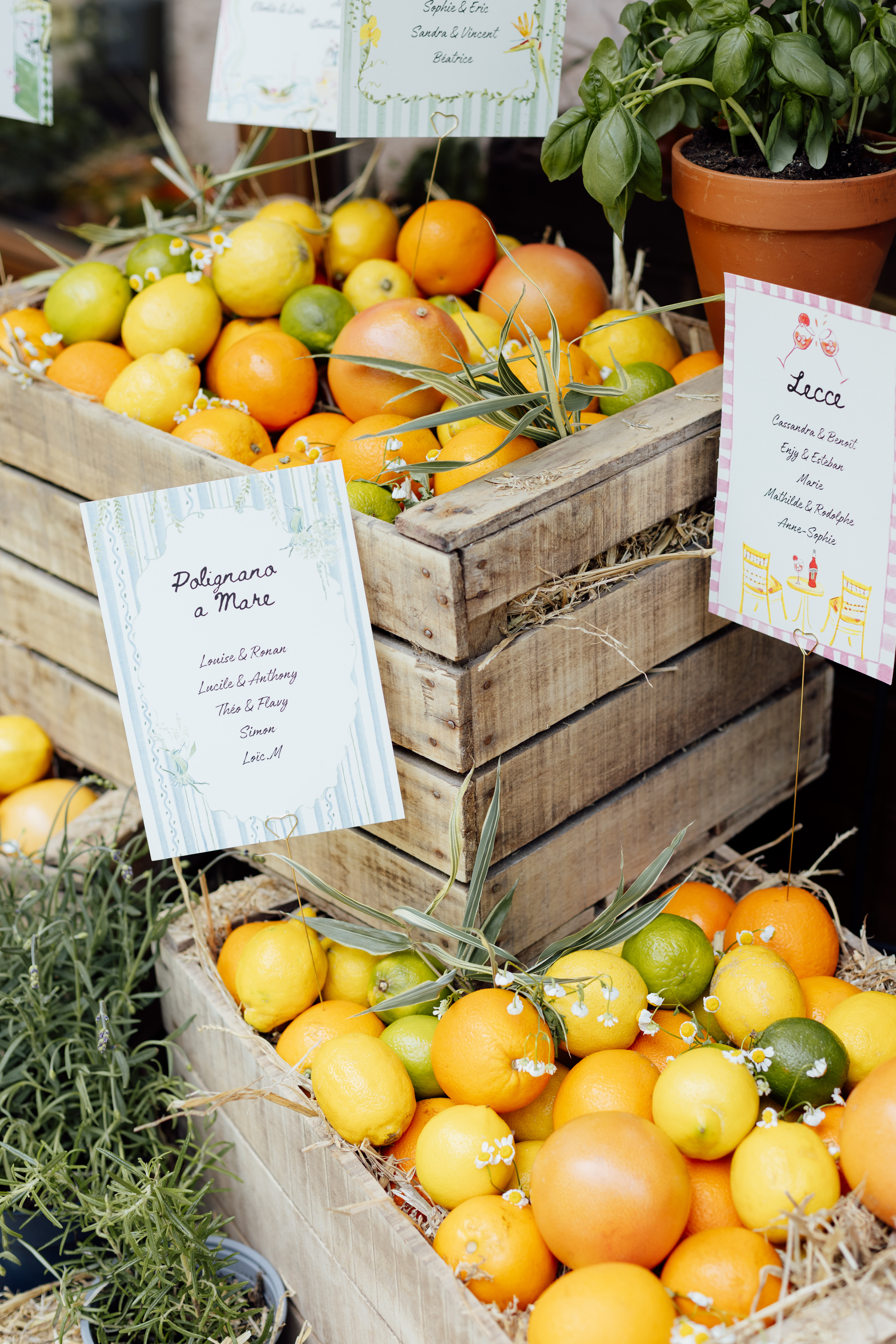 Mariage Clémence & Corentin — marque-places agrumes et citrons