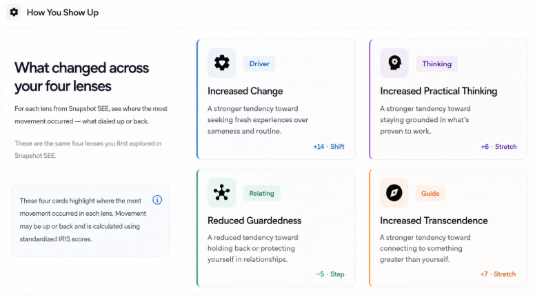 IRIS Snapshot showing what changed across four behavioral lenses: Driver, Thinking, Relating, and Guide