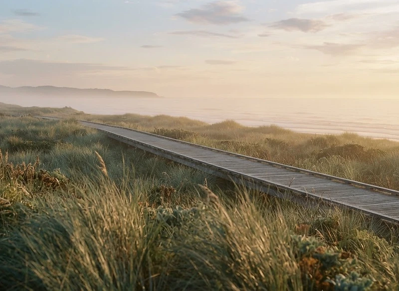 A calm coastal path at golden hour