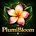 PlumiBloom