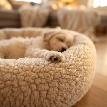 Cama Nube