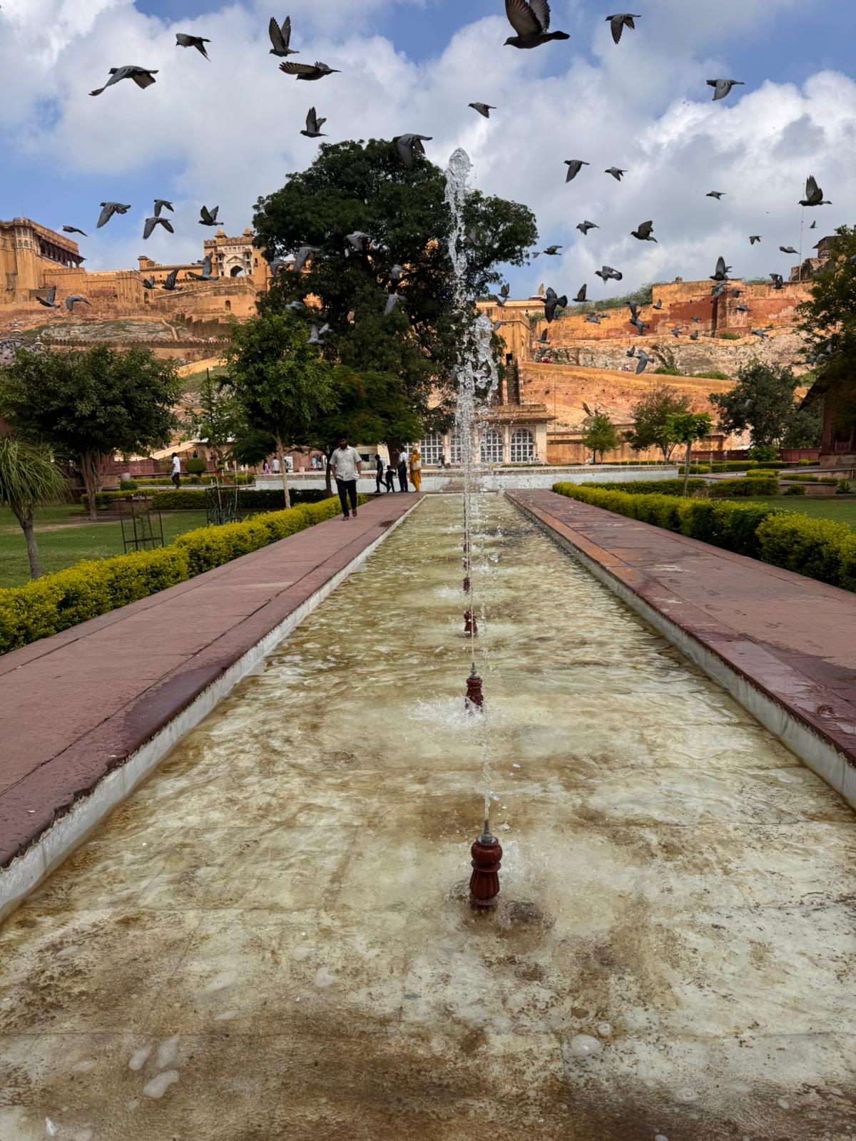 Viaggio-studio in India, foto 4