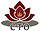 Creative Treatment Options logo