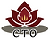 Creative Treatment Options logo