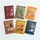 Sausage Seasoning Variety Pack