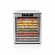 Food Dehydrator (10 tray)