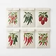 Hot Pepper Seed Variety Pack