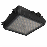 Canopy WAT & CCT Tunable 75W