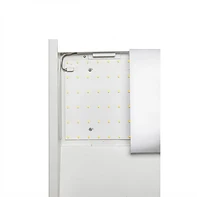 Center Basket LED Troffer 2X4 5000K and Wattage Tunable