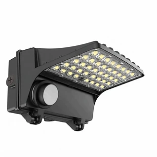 E2-WPF-WP10-60W-40K-M-P 1