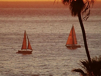SOMEWHERE BY THE SEA