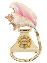 "THE SHELLPHONE"