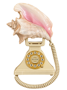 "THE SHELLPHONE"