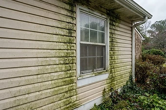5 Signs Your Siding Needs Soft Washing (Not Pressure Washing)