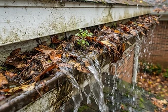 Gutter Clogging: What Homeowners Around 47025 Should Watch For