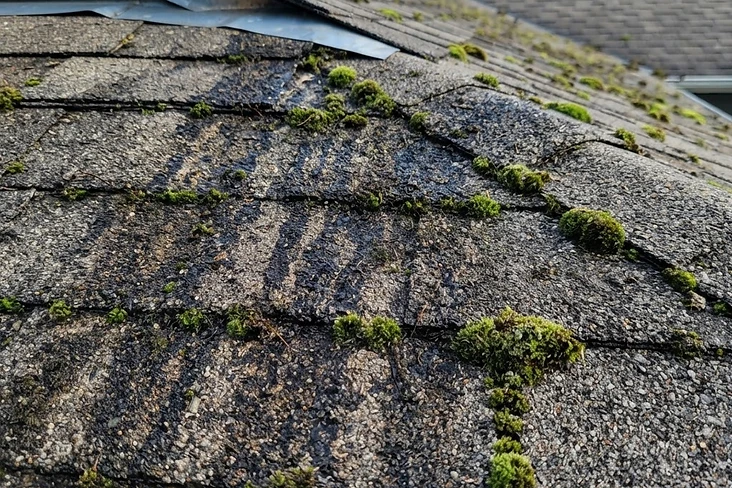 How to Know If Your Roof Needs Washing