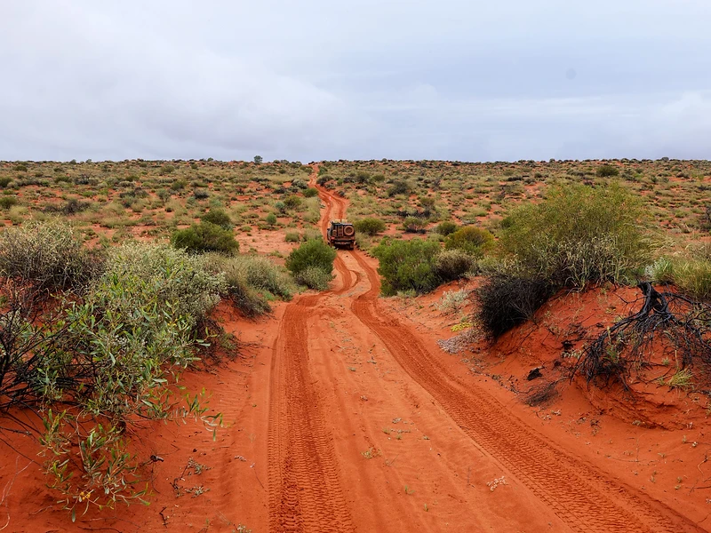 Laden 4x4 heading down a red-dirt outback track beneath an overcast sky