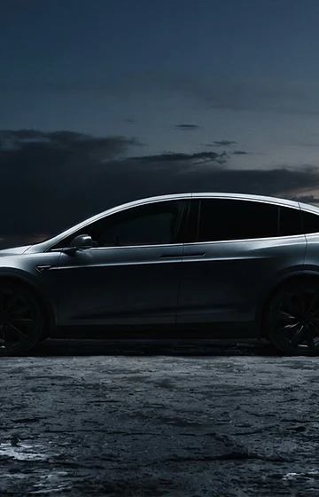 Model X