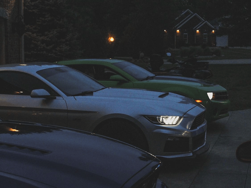Mustangs at blue hour