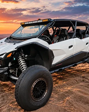 Kawasaki Teryx4 H2