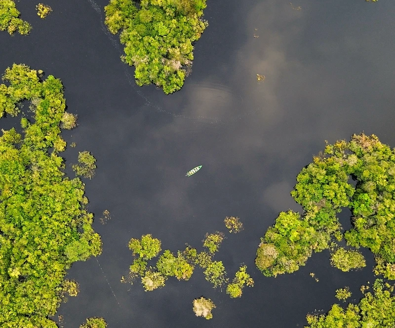 Vista aerea di un bacino fluviale tra la vegetazione