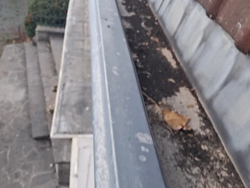 Gouttière en zinc encombrée de feuilles et de mousse avant nettoyage