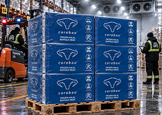 GFS cold-chain warehouse maintaining frozen buffalo at -18°C for export