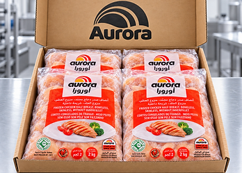 GFS AURORA open export carton with vacuum packed frozen poultry from Brazil