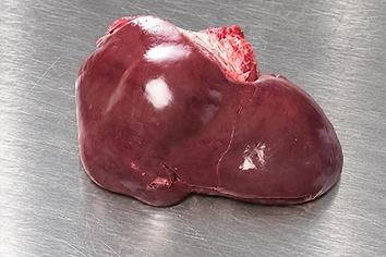 GFS Liver Beef cut from Brazil, vacuum packed frozen export