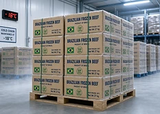 GFS cold-chain warehouse maintaining frozen beef at -18°C for export
