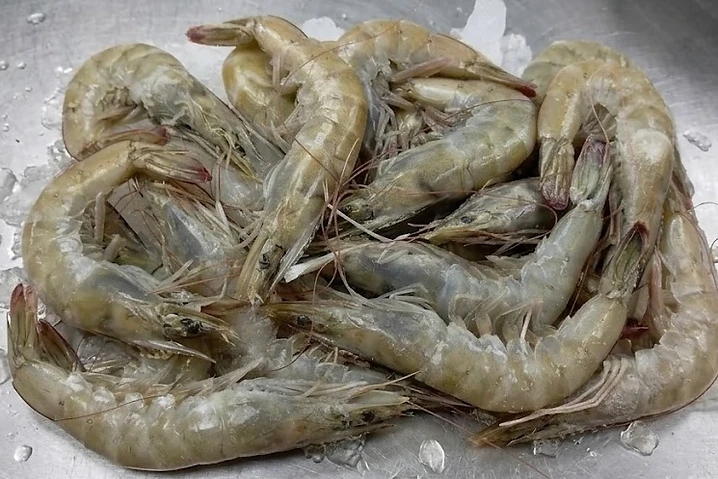 GFS 20/30 Seafood cut from Vietnam, vacuum packed frozen export
