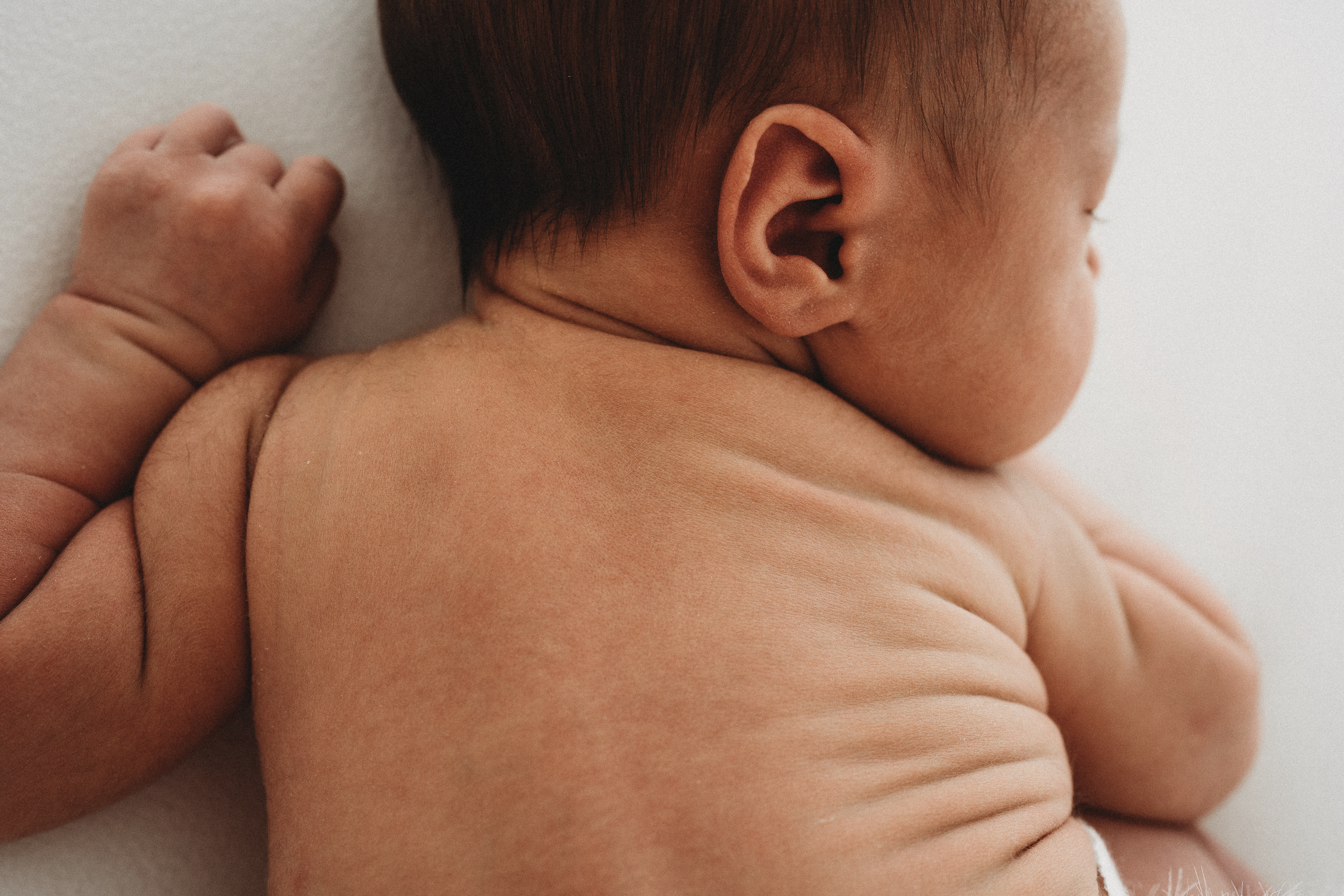 Newborn baby in de daglichtstudio — First Moments Fotografie, fotograaf Limburg