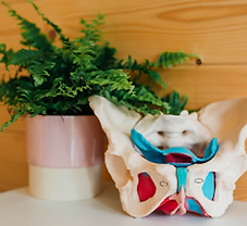 When Things Feel a Little Different: Understanding Pelvic Organ Prolapse