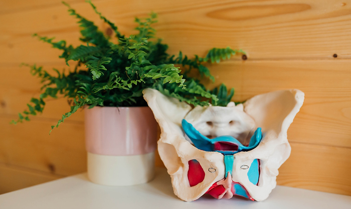 When Things Feel a Little Different: Understanding Pelvic Organ Prolapse