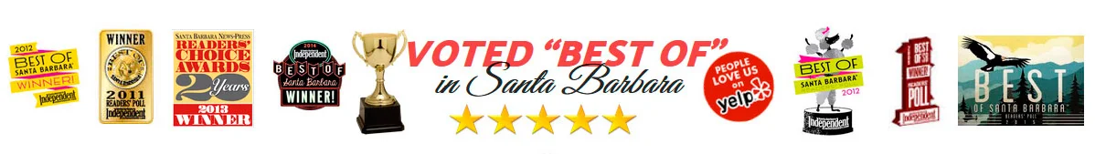Voted Best Martial Arts & Fitness School