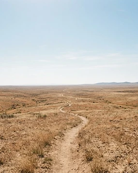 A quiet path leading toward a distant horizon