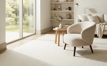 Carpet Cleaning