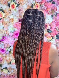 Back view of long box braids with warm highlights against a floral wall