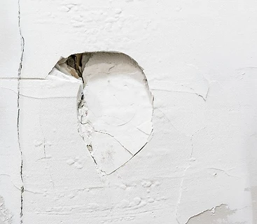 Patch & Repair